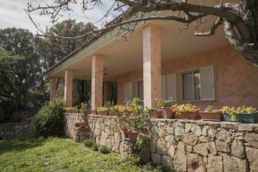 Fumu Ludurru Farm Stay Padru Buitenkant foto